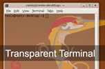 Ubuntu Terminal