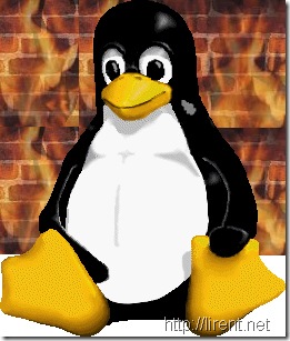 officialpenguin