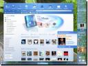 Compatibility and IE8