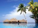 Wordpress plugin - SEO Friendly Images