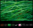 Galleria - Free jQuery Image Gallery