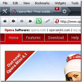 opera-browser-face-skin-theme