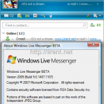 A preview to the new Features for Windows Live Messenger 9