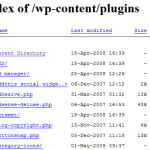 Hide and protect your WP plug-ins and themes folder