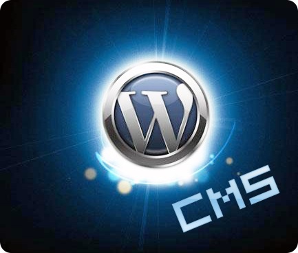 wordpress-logo-shine copy-cms