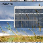 Be careful to Malicious Commands in Ubuntu