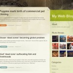 Color Paper: a Free professional Wordpress theme
