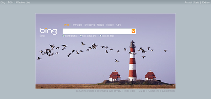 bing-search-bot-msn-live