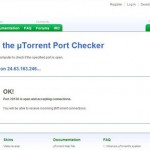 Quick Tip: Test If Your Port Is Open