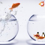 fishy_ubuntu-852x480.jpg fishy_ubuntu-852x480.jpg