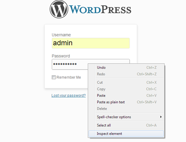 Asterisk Password - WordPress Admin Password