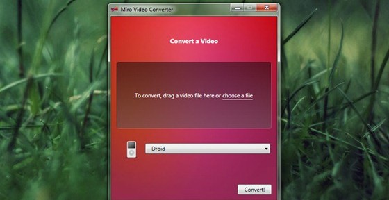 miro video converter all formats web ogg